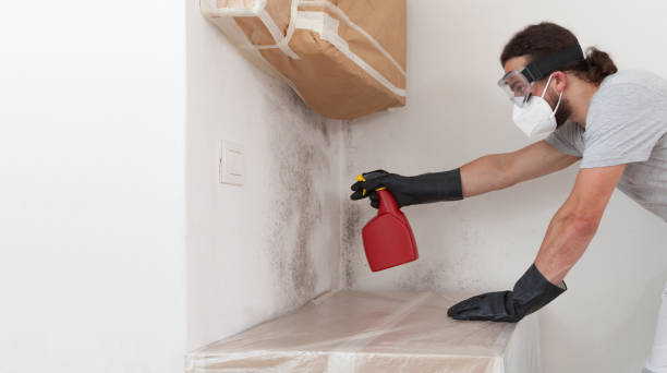Professional Crawl Space Mold Remediation technician working in Sproul, PA