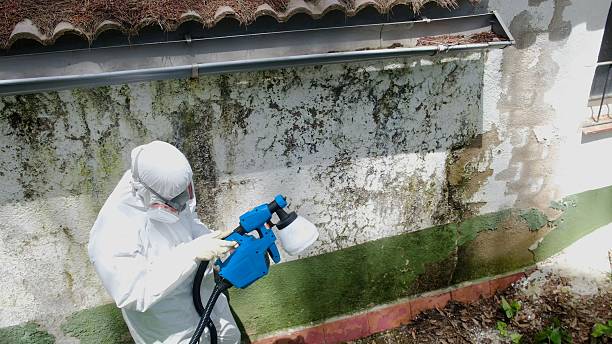 Top rated local Crawl Space Mold Remediation specialists in Sproul, PA